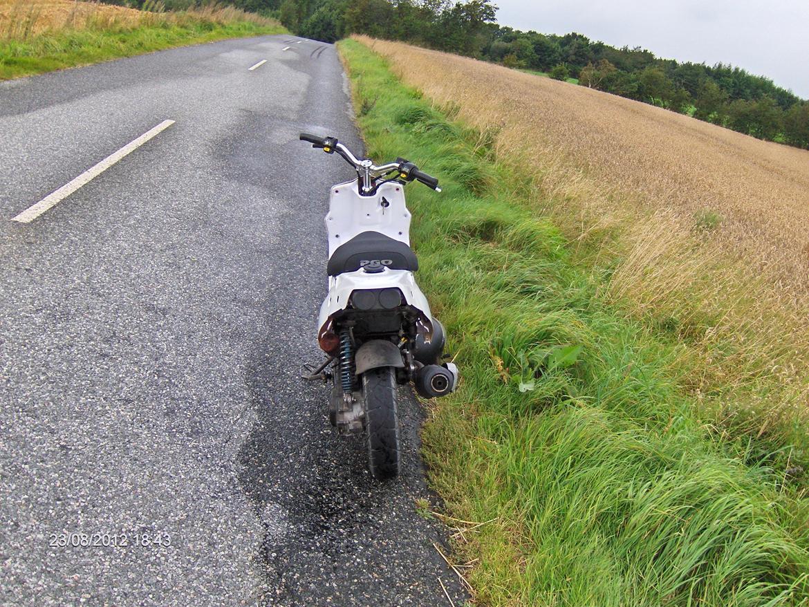 PGO hot 50 billede 5