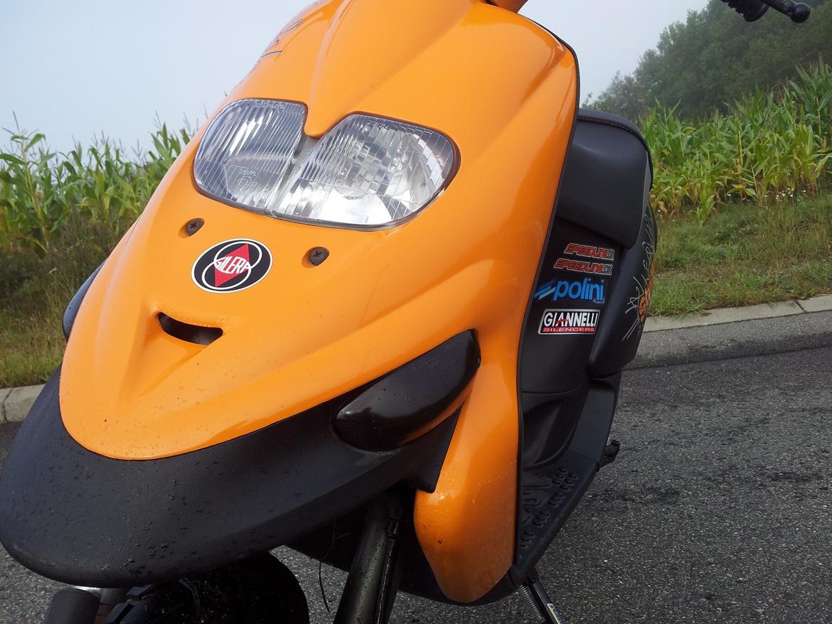 Gilera Stalker billede 8