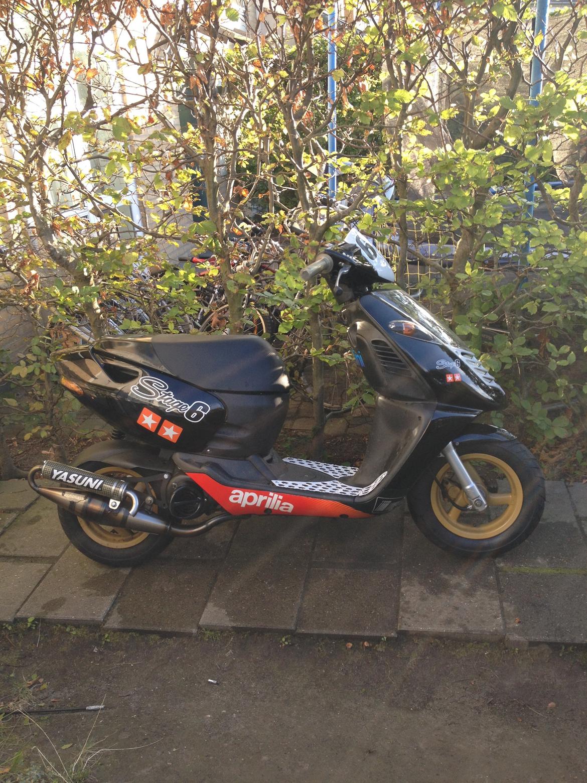 Aprilia sonic ''Gaderacer'' - Som den ser ud nu. Autolakeret skjolde (minus bundskjold) billede 3