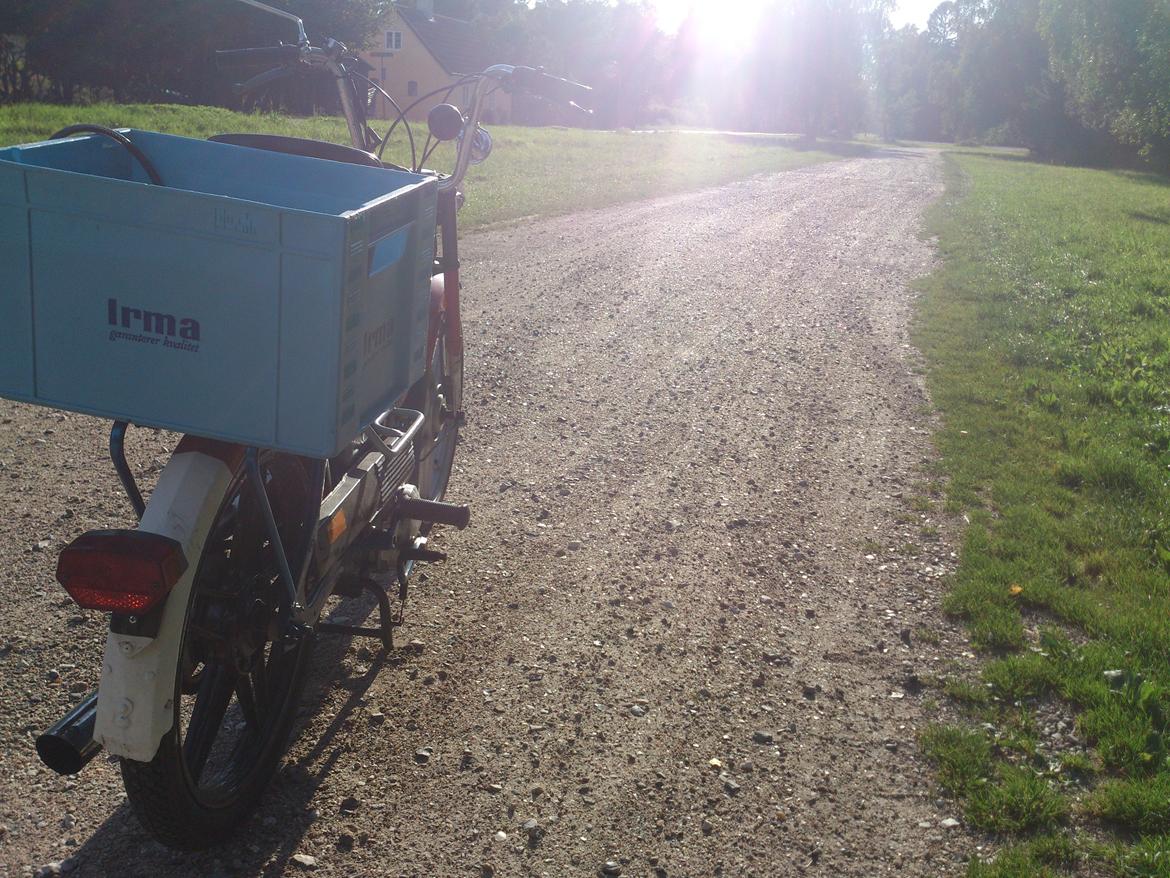 Puch maxi ( projekt ) billede 10