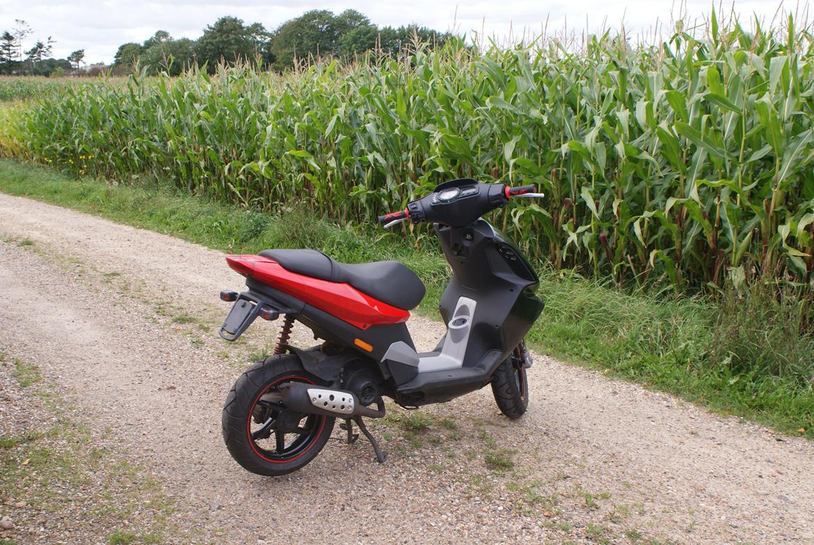 Piaggio Nrg Power DT billede 7