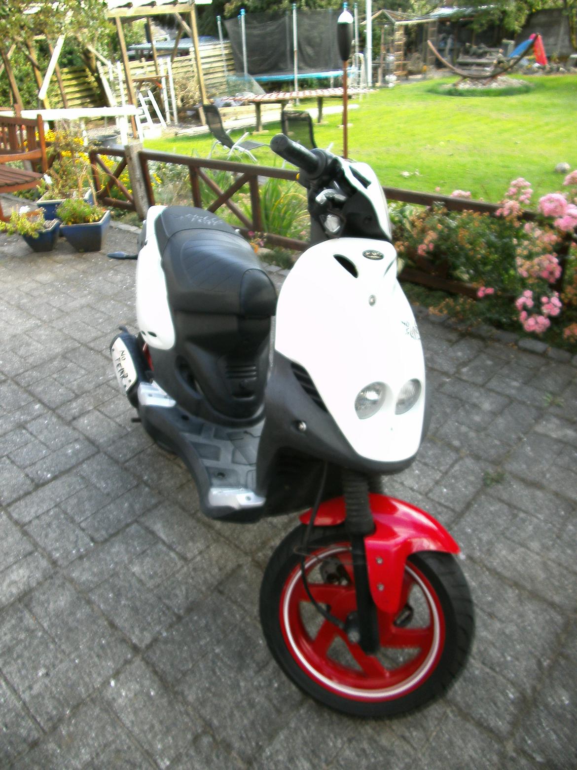 PGO PMX Sport 'No Fear' billede 1