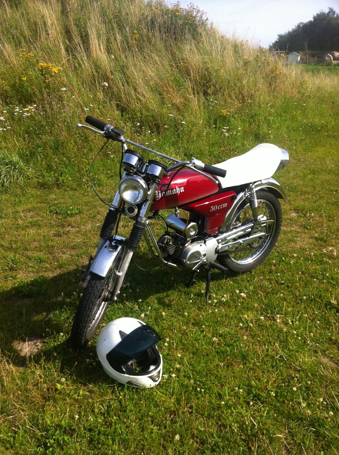 Yamaha FS1 DX billede 2