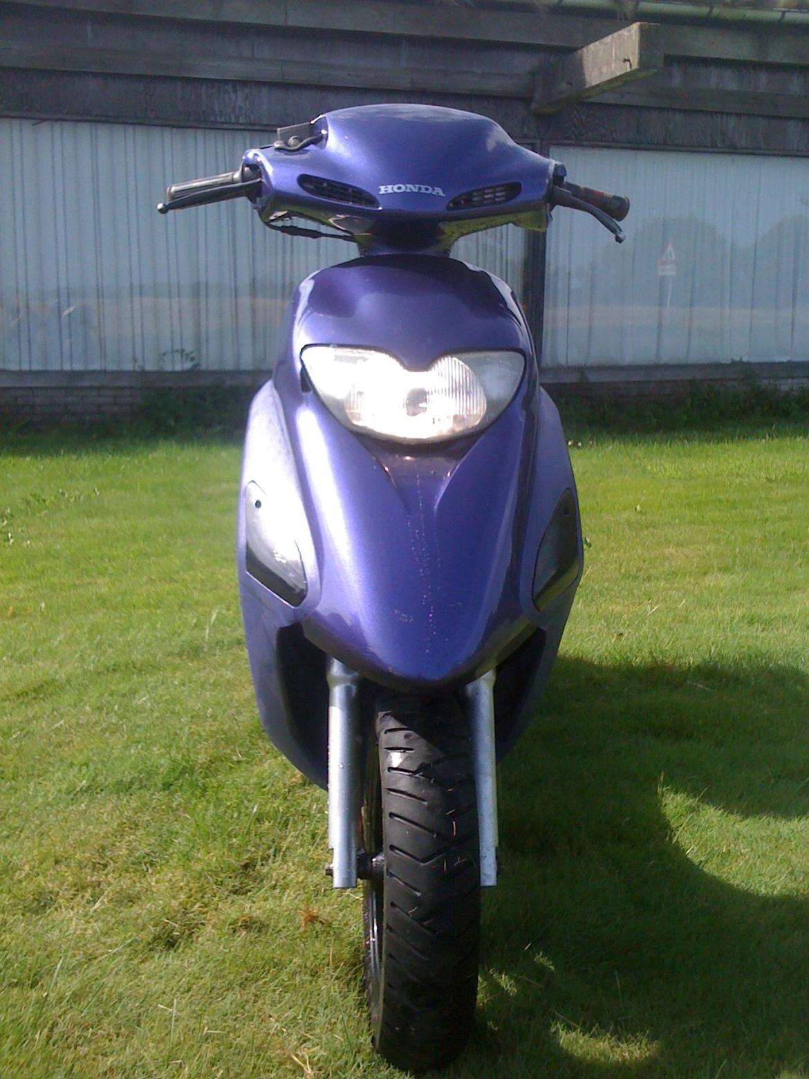 Honda Sfx Hverdagsged billede 2