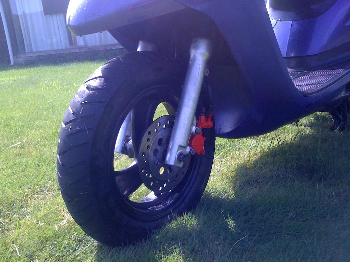 Honda Sfx Hverdagsged billede 10