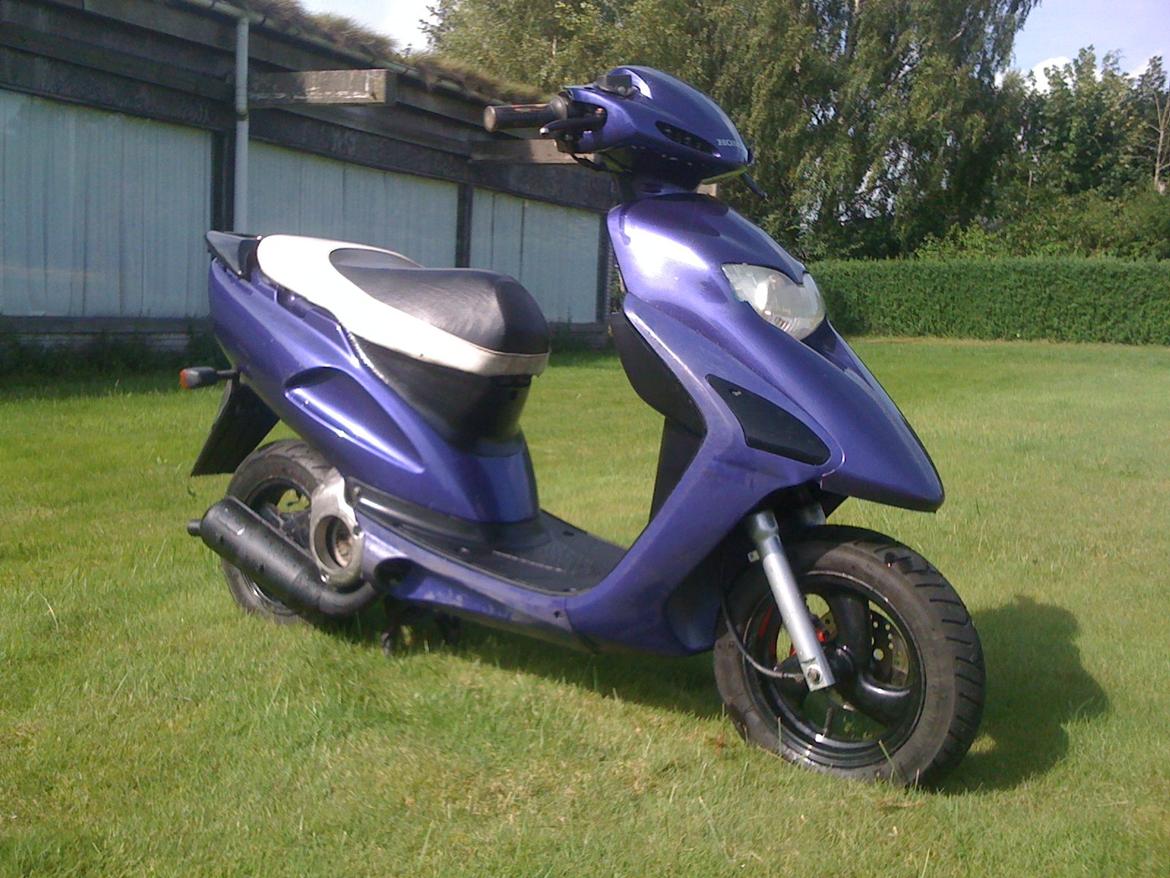 Honda Sfx Hverdagsged billede 15