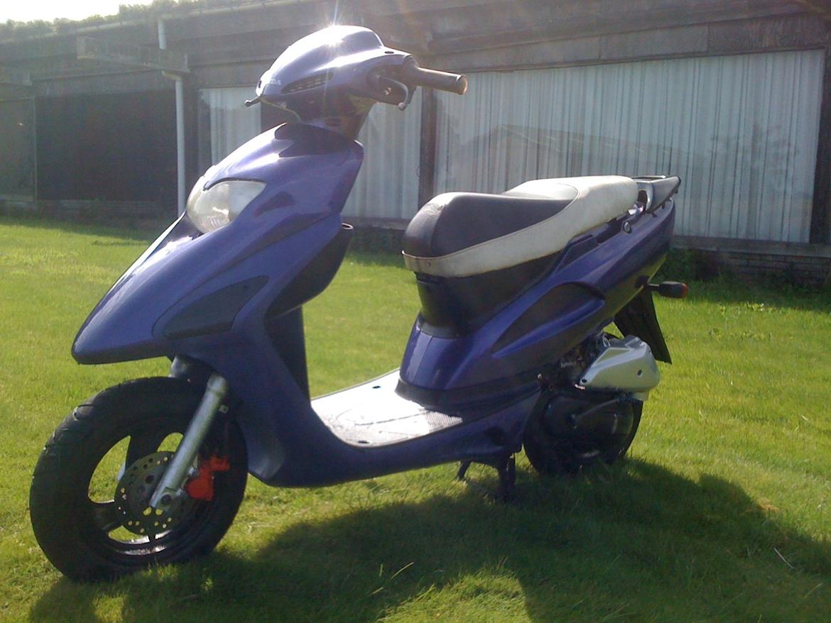 Honda Sfx Hverdagsged billede 16