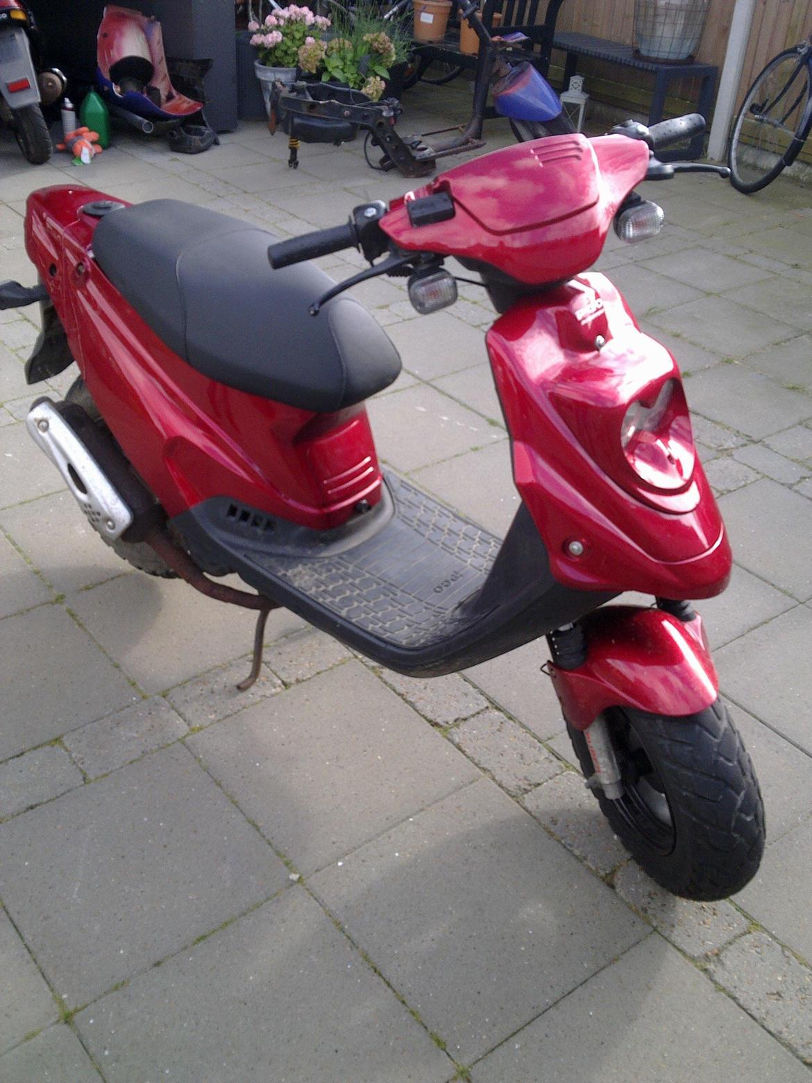 PGO Hot 50 Byttet til aprilla rx50 billede 9