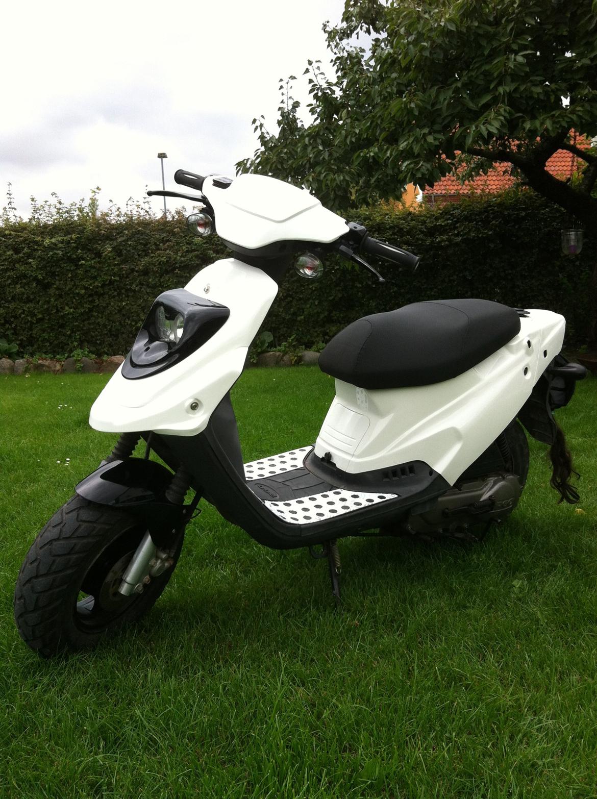 PGO Hot 50 billede 1