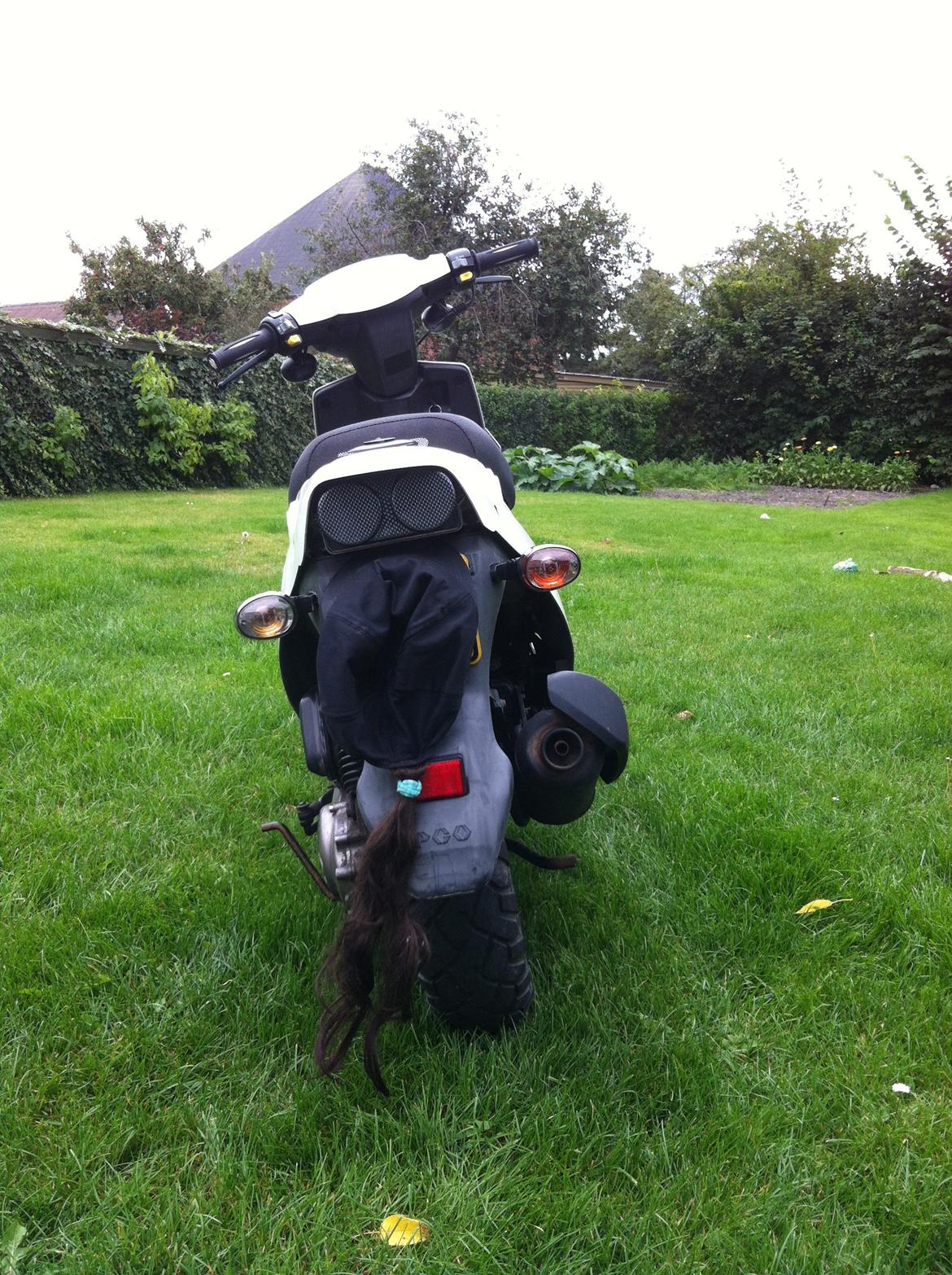 PGO Hot 50 billede 4