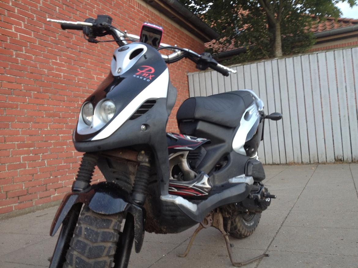 PGO PMX NAKED billede 11