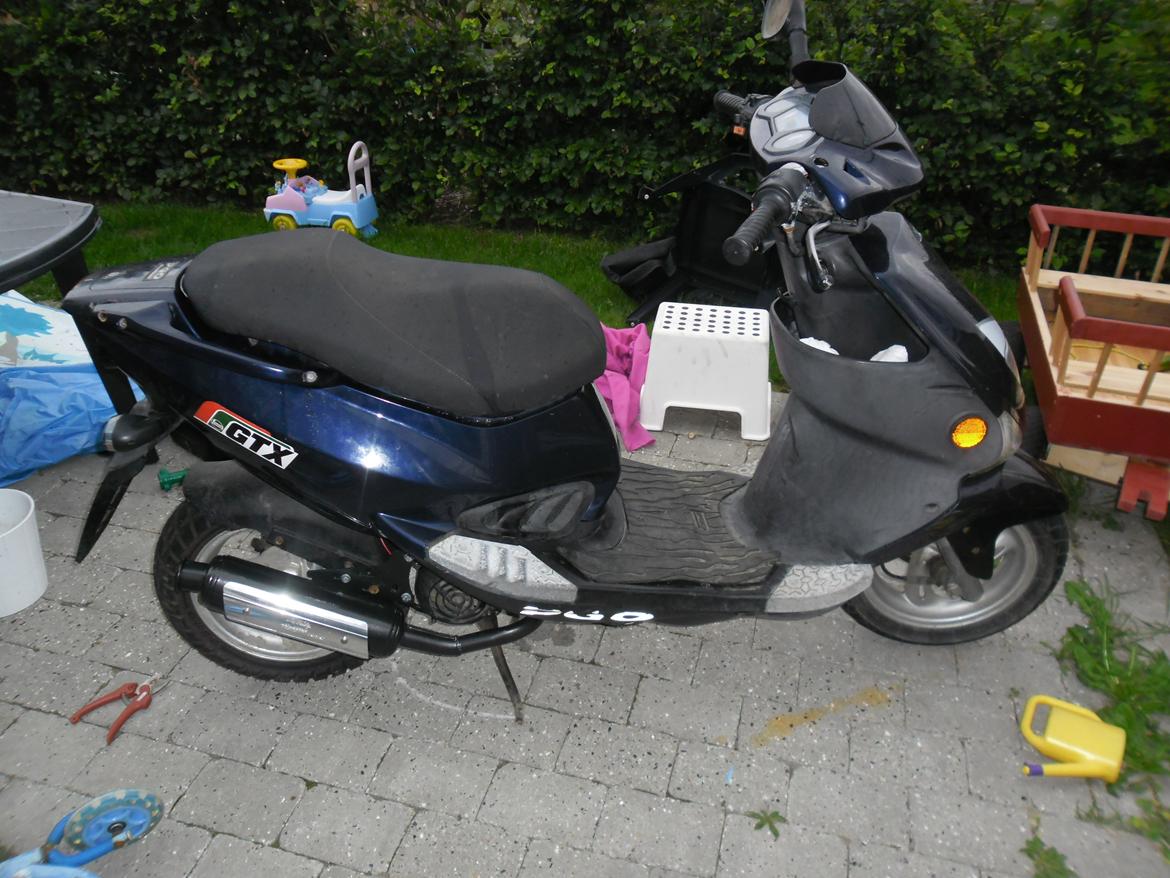 PGO t-rex billede 1