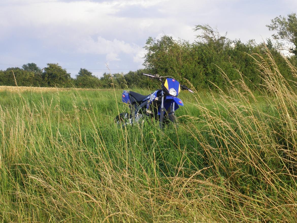 Derbi Senda DRD Extreme billede 2