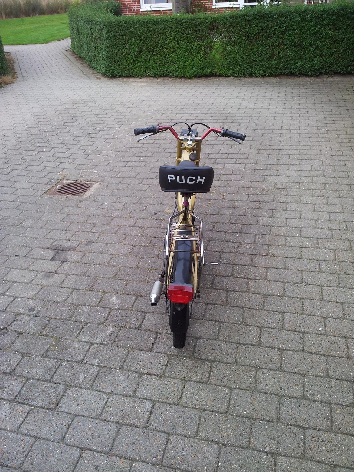 Puch Maxi K billede 5