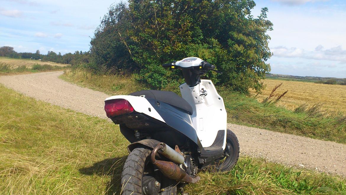 PGO Hot 50 billede 10