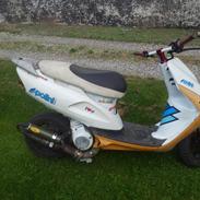 Honda sfx byttet til arrox