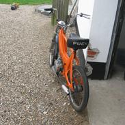 Puch maxi k