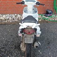 PGO Dr.Big ( TIDL scooter )