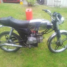 Kreidler Superstar