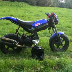 Suzuki Street Magic "FlyingFluffy"