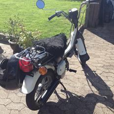 Suzuki Fz50 Byttet til Hot50