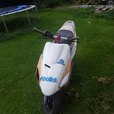 Honda sfx byttet til arrox