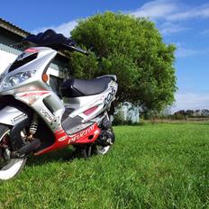 Peugeot Speedfight 2 206 WRC   LC  DD.