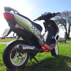 Peugeot Speedfight 2 206 WRC   LC  DD.