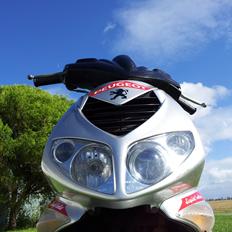 Peugeot Speedfight 2 206 WRC   LC  DD.