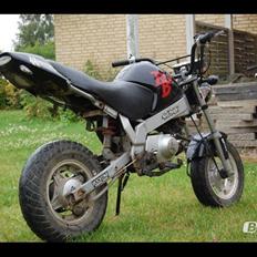 Skyteam pbr BYTTET TIL JOG R