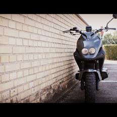 PGO Pmx Naked Carbon