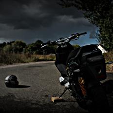 PGO Pmx Naked Carbon