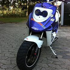 PGO Hot 50 SP PMPS. (The Player)