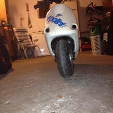 Polini Scooterino 6.2 HK