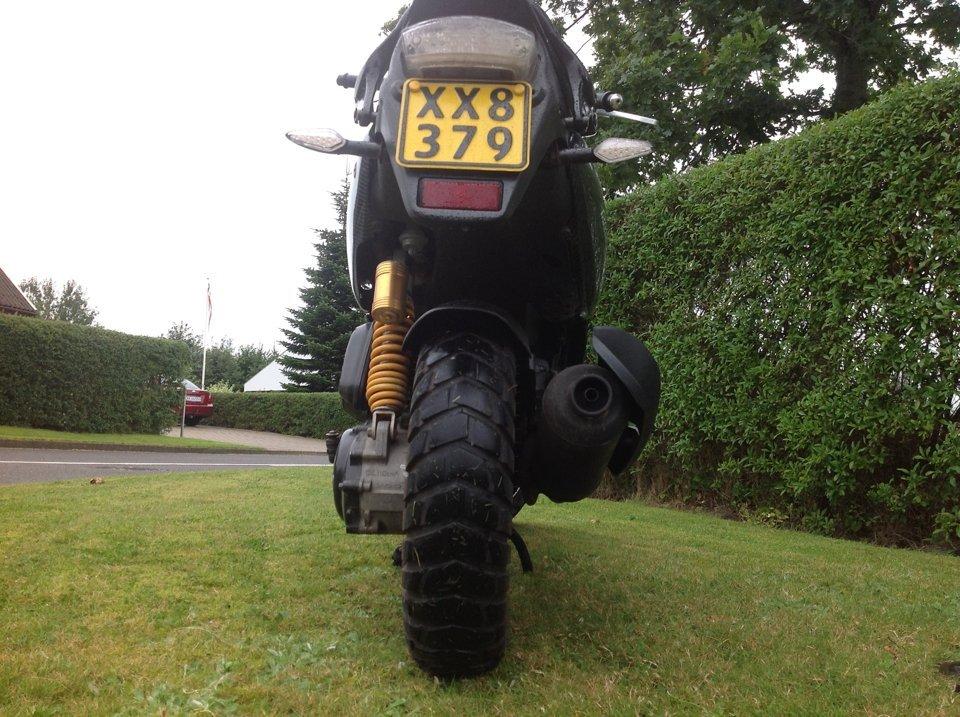 PGO Pmx Naked [Carbon] billede 13