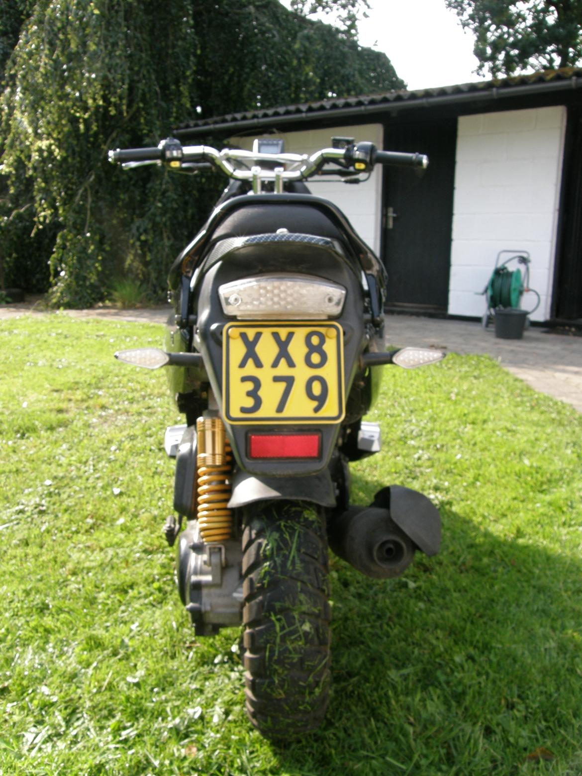 PGO Pmx Naked [Carbon] billede 17