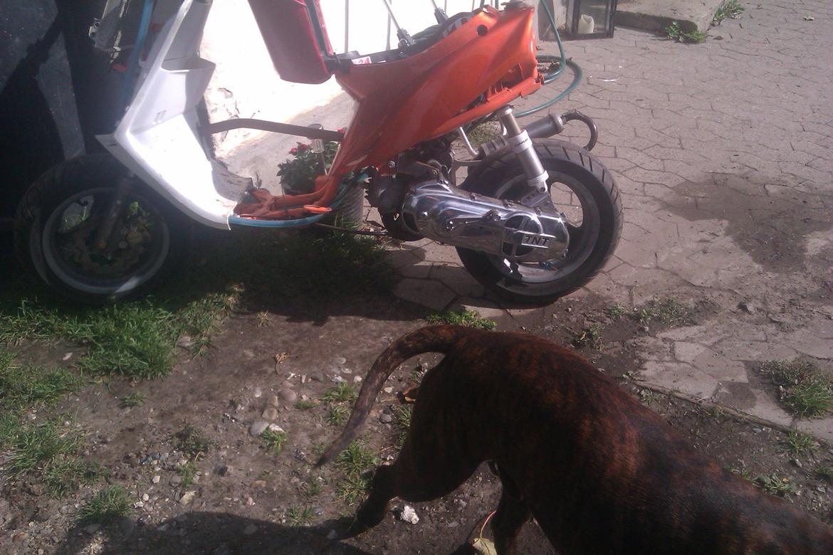 Yamaha jog billede 13