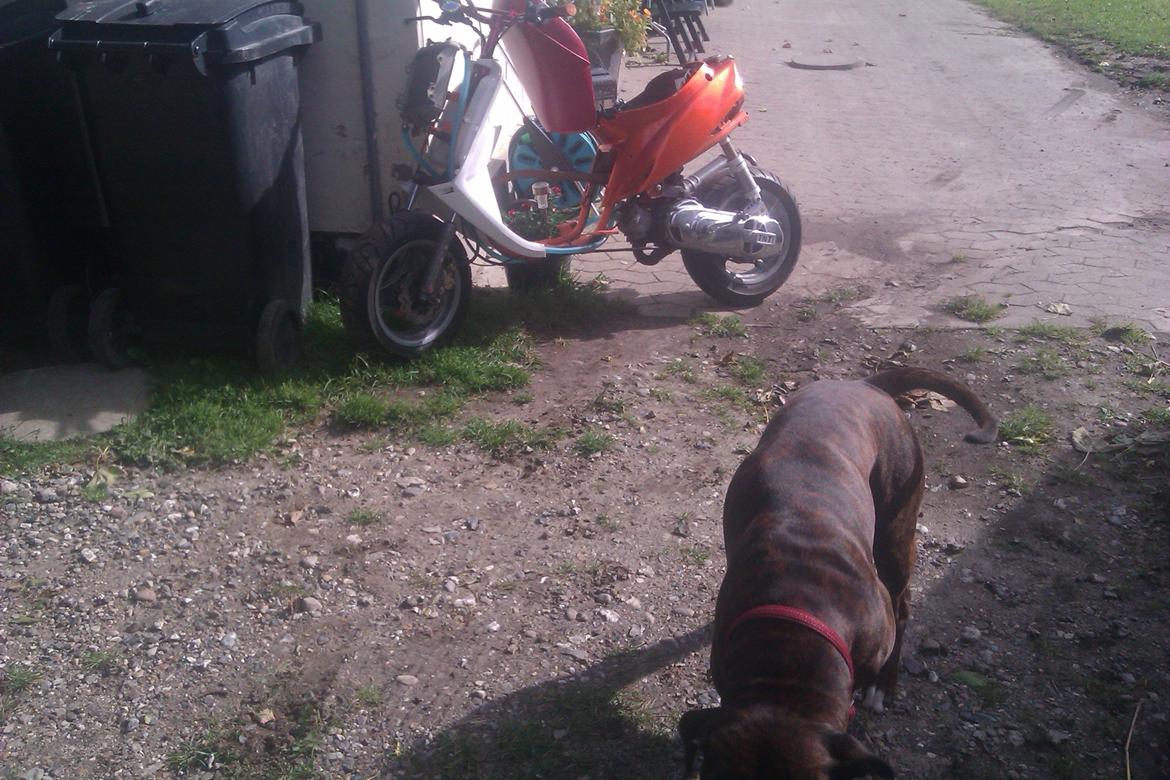 Yamaha jog billede 14