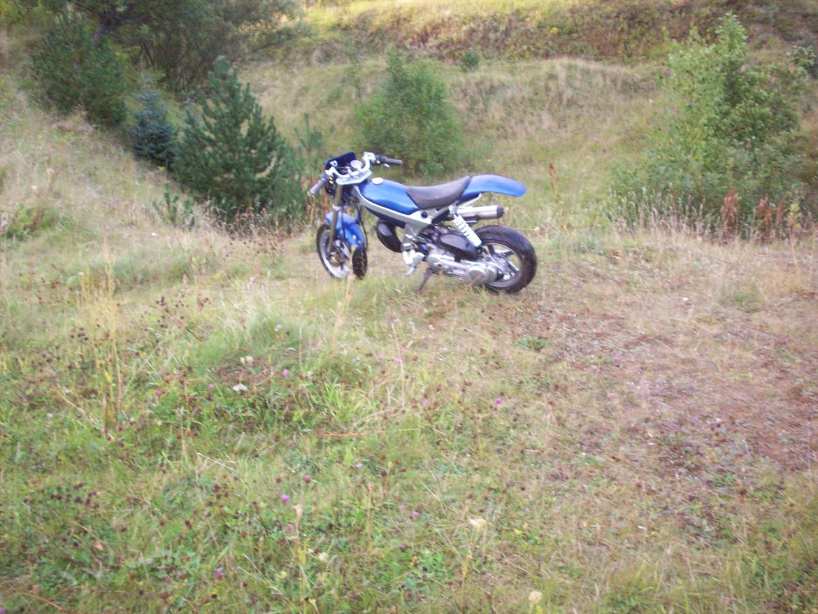 Suzuki Street Magic (solgt) billede 12