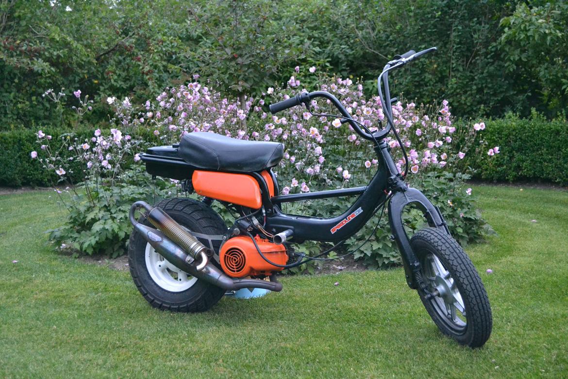 Suzuki Fz50 billede 1