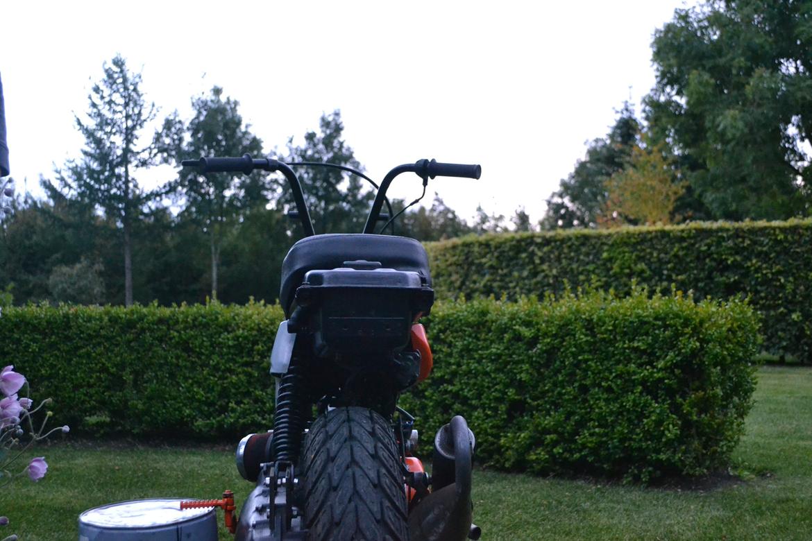 Suzuki Fz50 billede 5