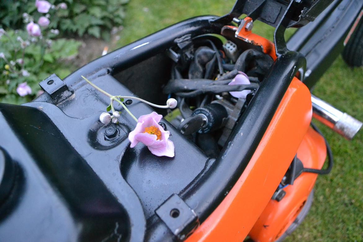 Suzuki Fz50 billede 6