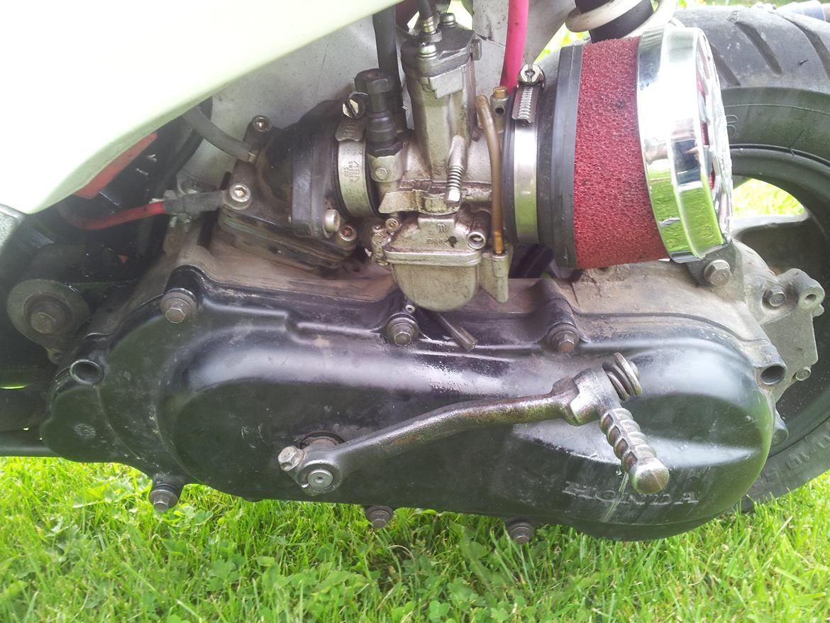 Honda sfx byttet til arrox billede 6