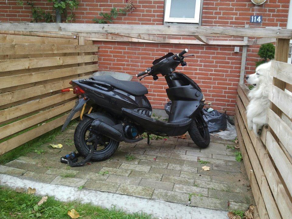 PGO dr big billede 6