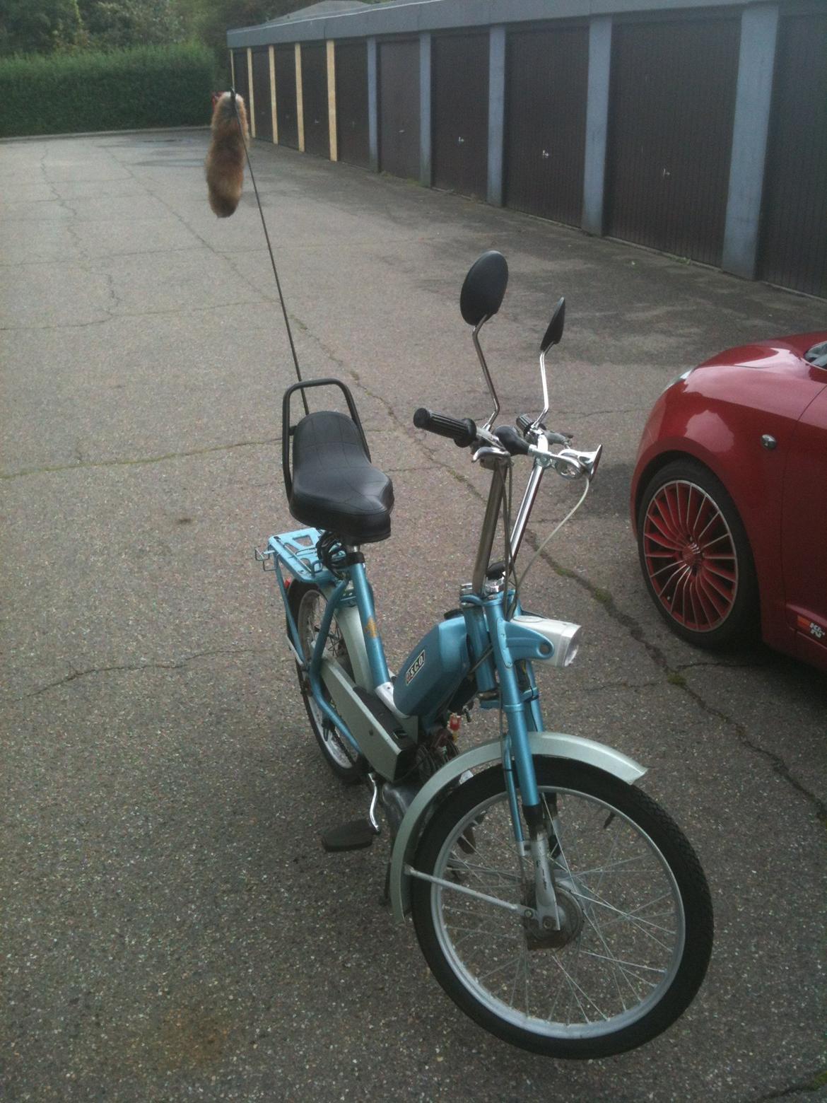 Sco Populær billede 6