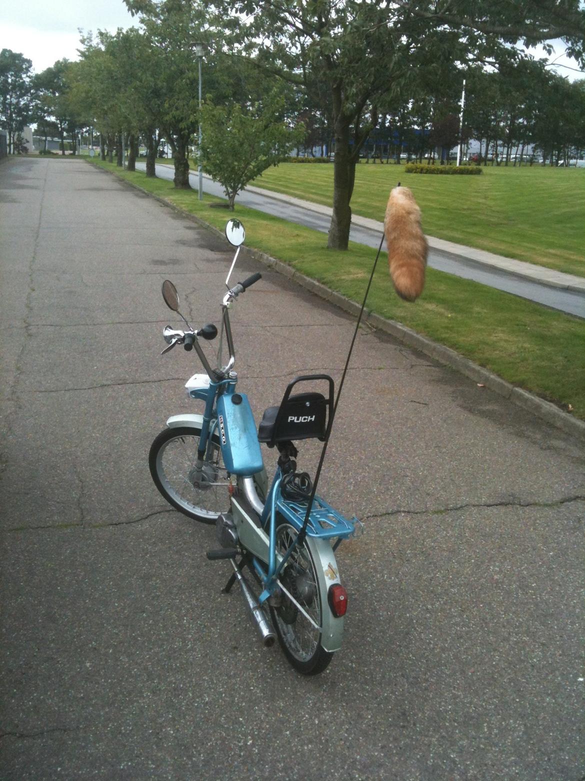 Sco Populær billede 10