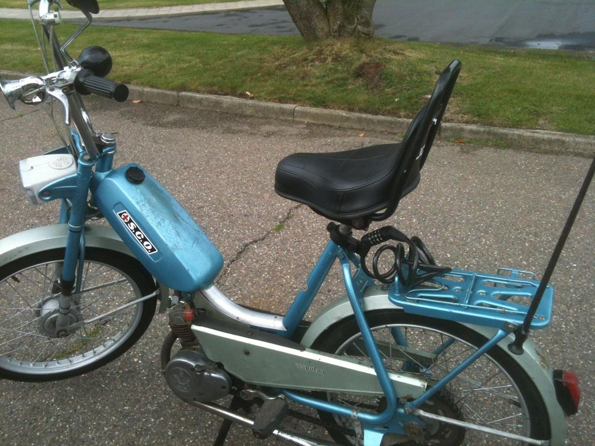 Sco Populær billede 11