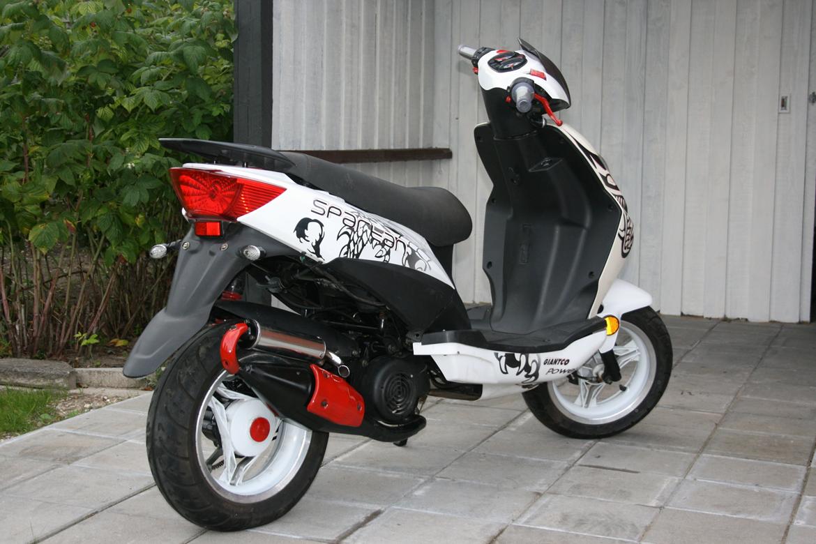 Giantco Spartan 2-takter billede 1