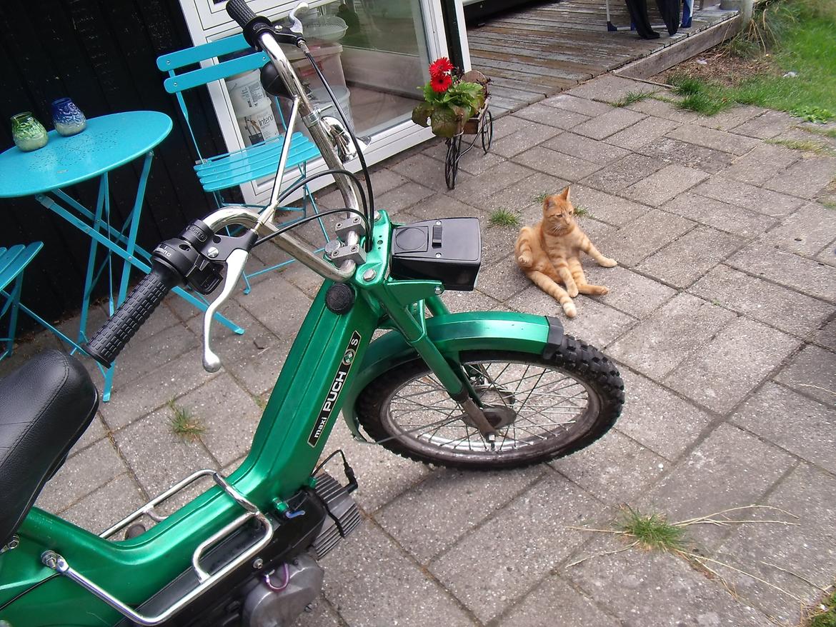 Puch maxi kl billede 16