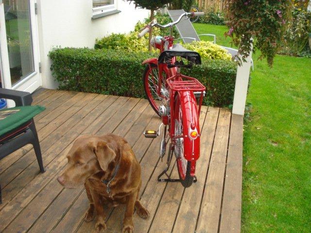 Veteraner Skylon fladtanker 54 billede 16